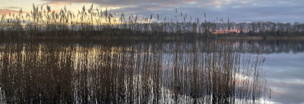 Call ZonMw Opschalen Effectieve Preventie-aanpakken
